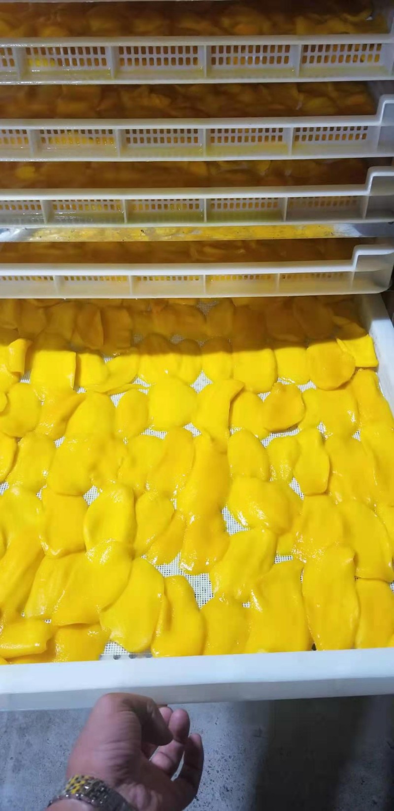 益陽瑪山產業機械有限公司，湖南益陽螺旋風管廠家，熱風食品烤房