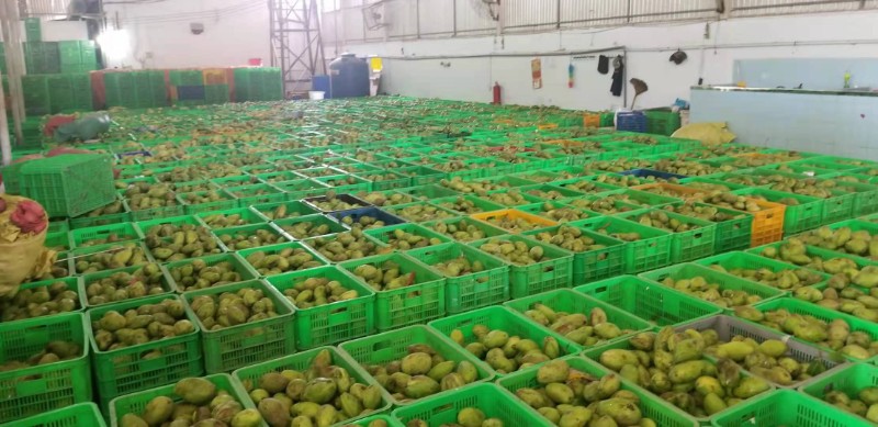 益陽瑪山產(chǎn)業(yè)機械有限公司，湖南益陽螺旋風管廠家，熱風食品烤房